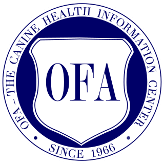 OFA — The Canine Health Information Center